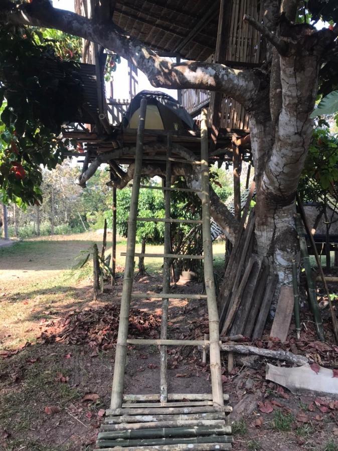 Amando_Tent Hotel Phayao Buitenkant foto