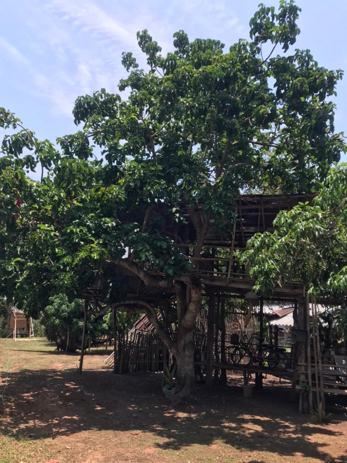 Amando_Tent Hotel Phayao Buitenkant foto